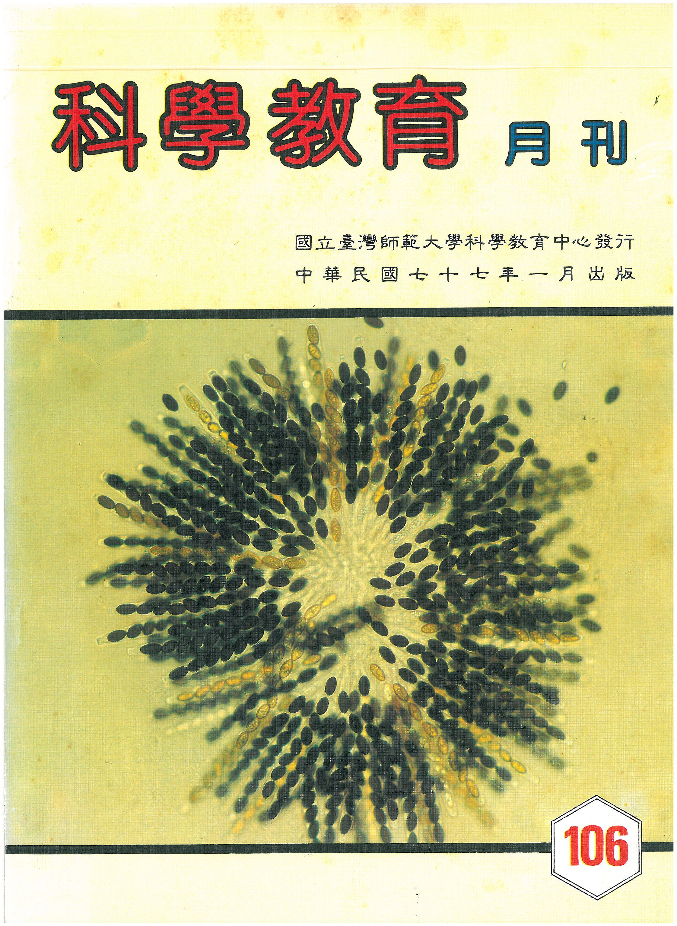 這是一張圖片