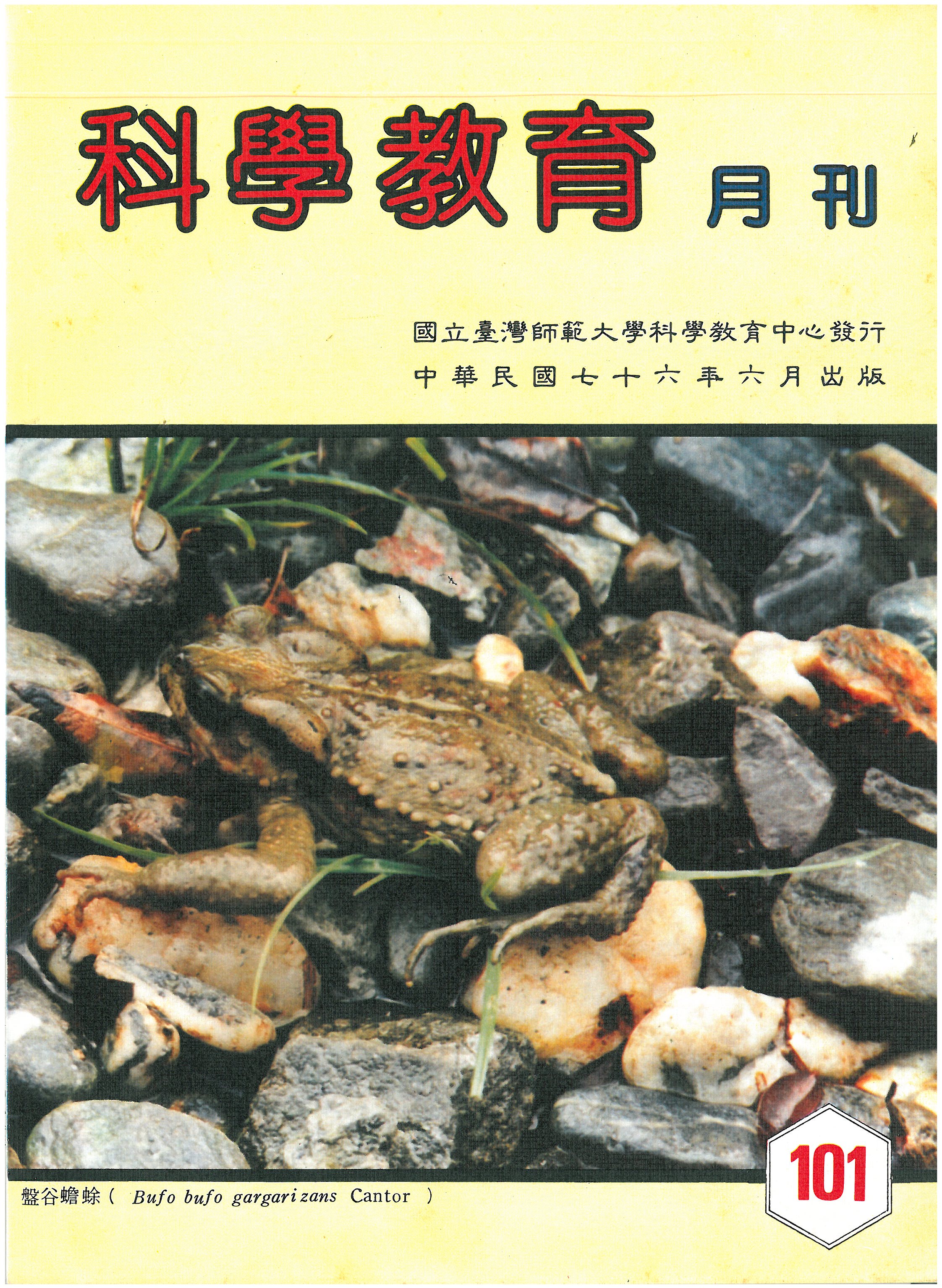 這是一張圖片