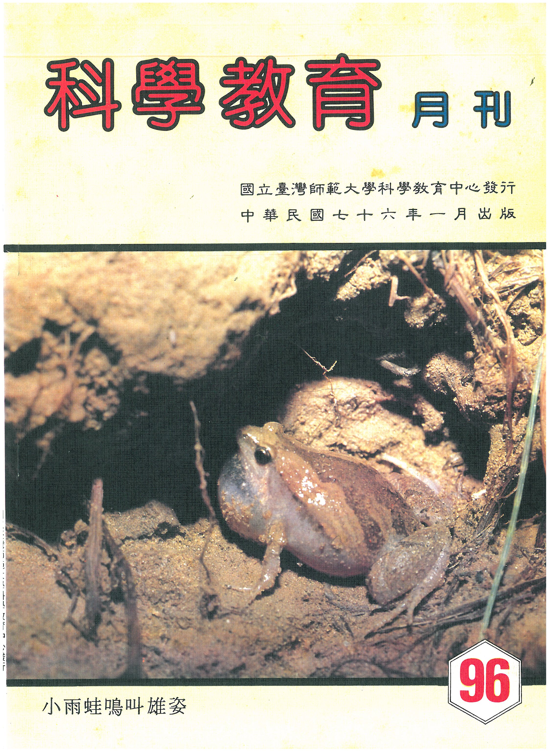 這是一張圖片