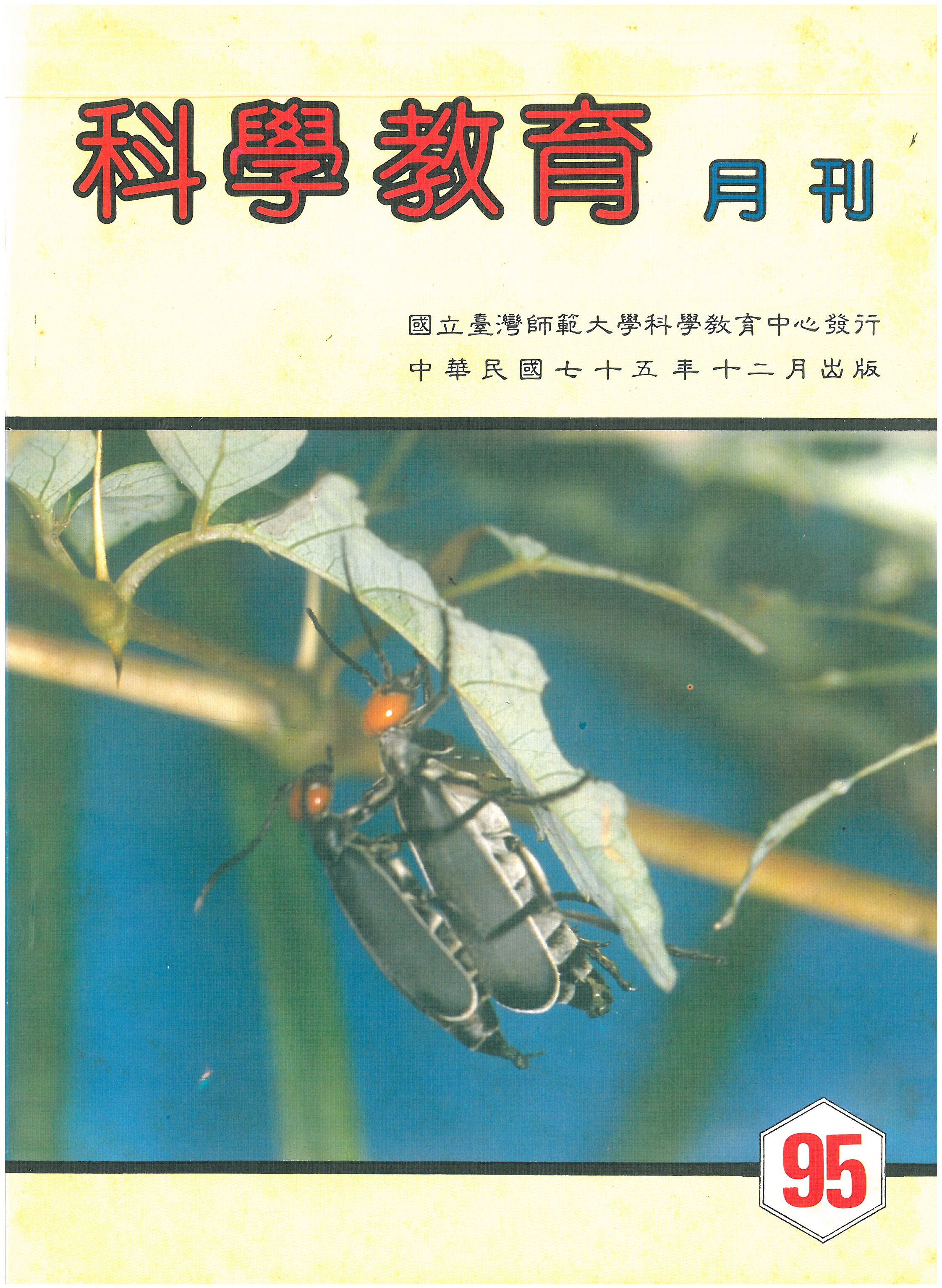 這是一張圖片