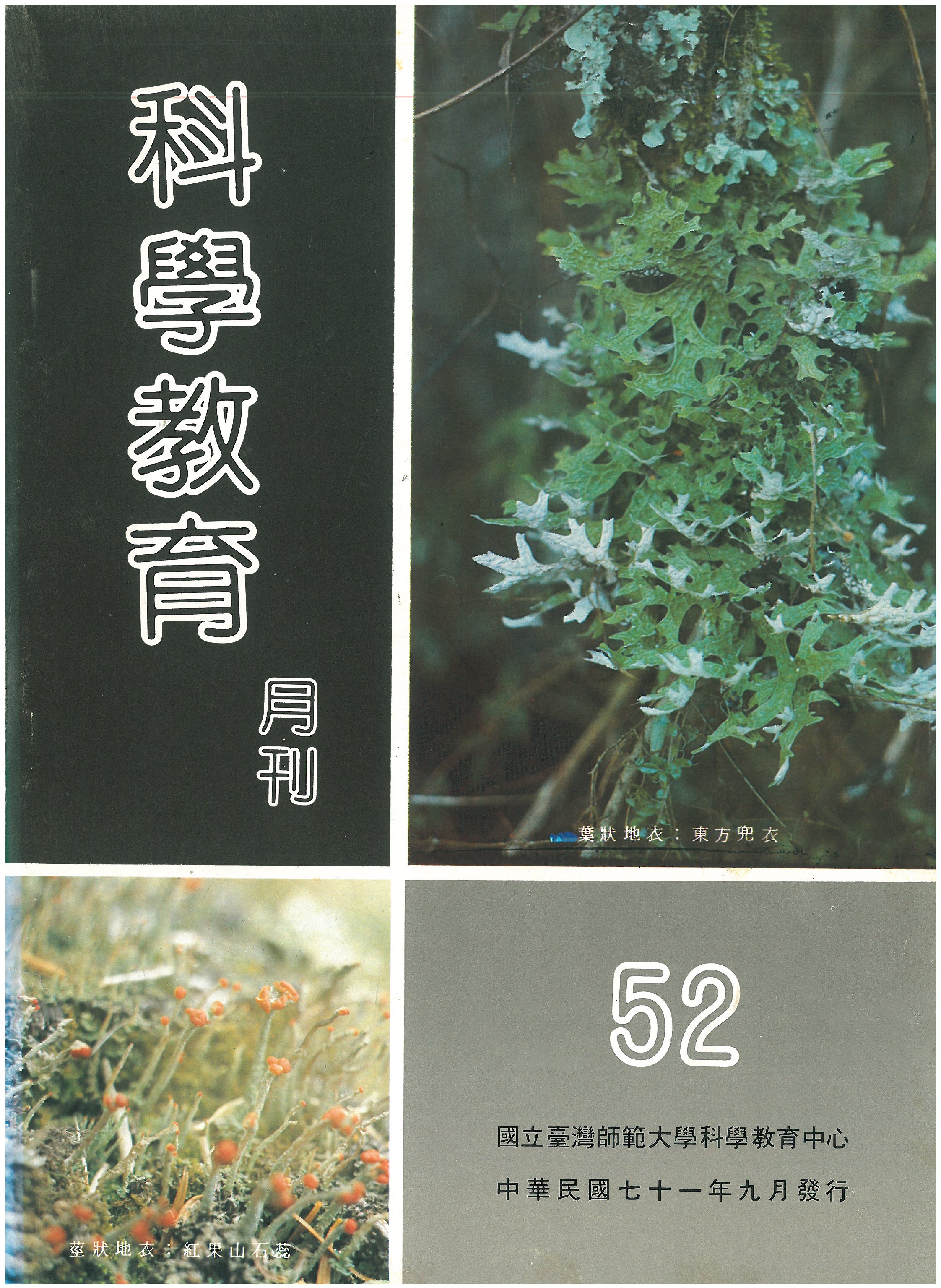 這是一張圖片