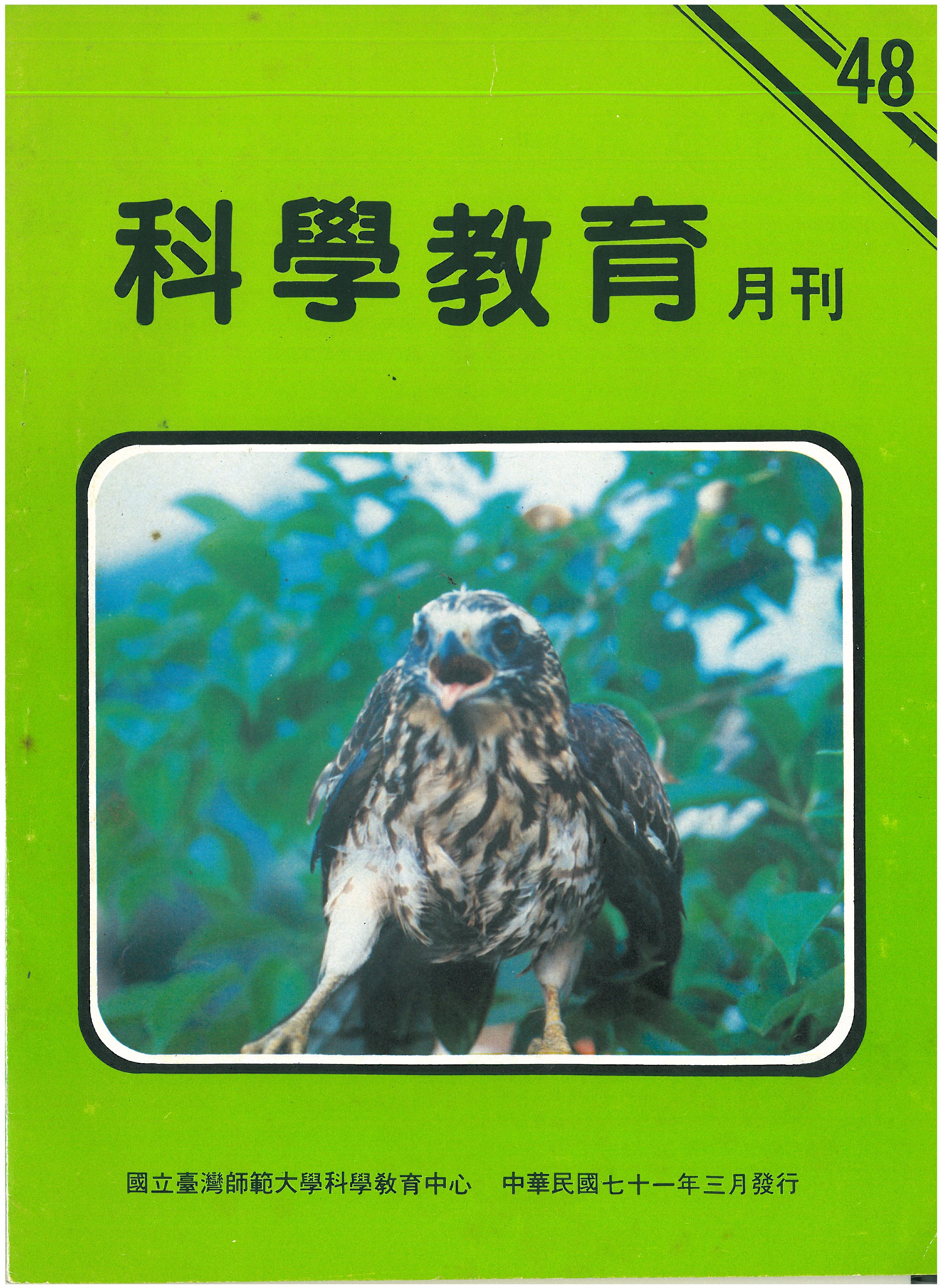 這是一張圖片