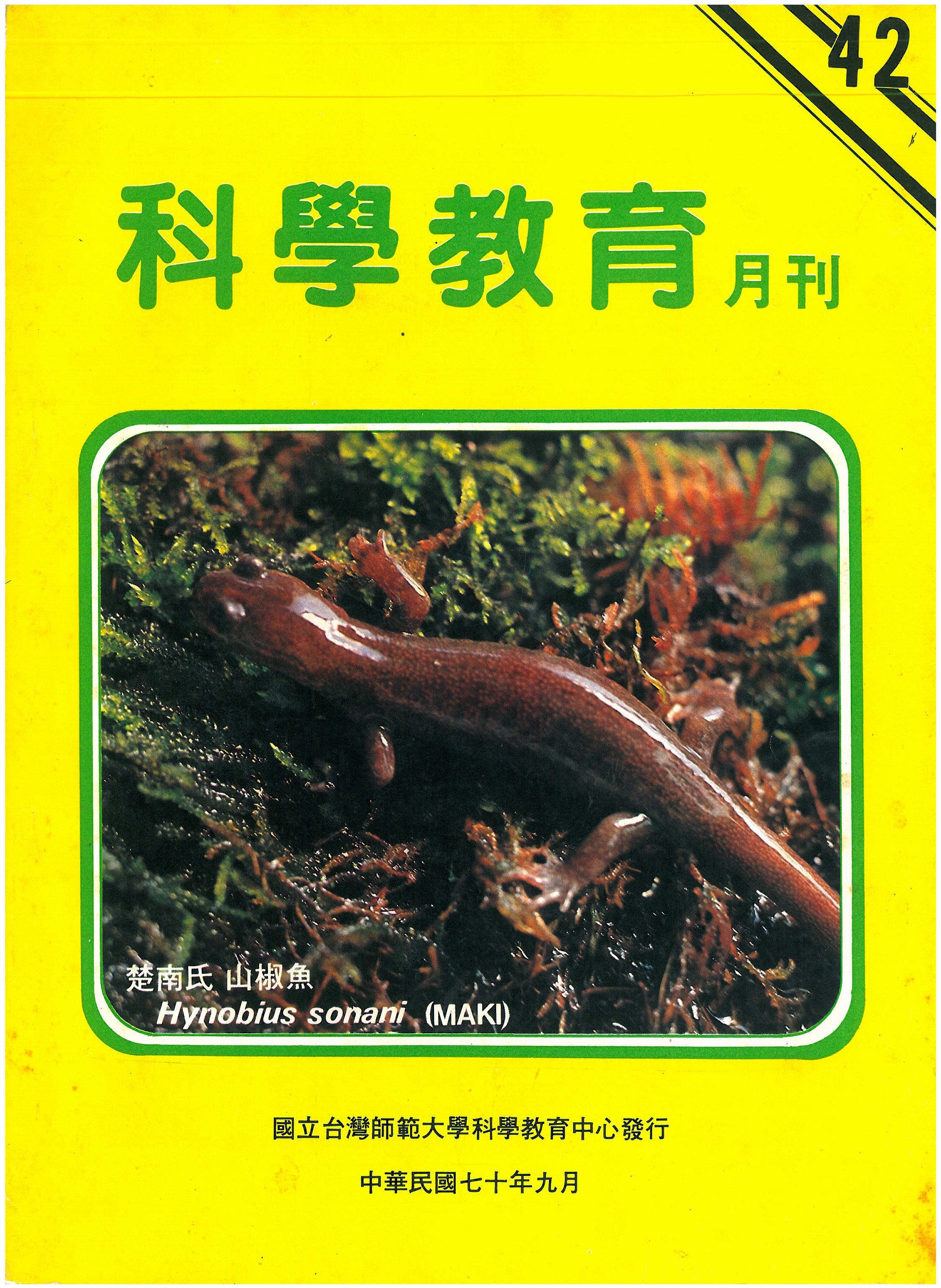 這是一張圖片