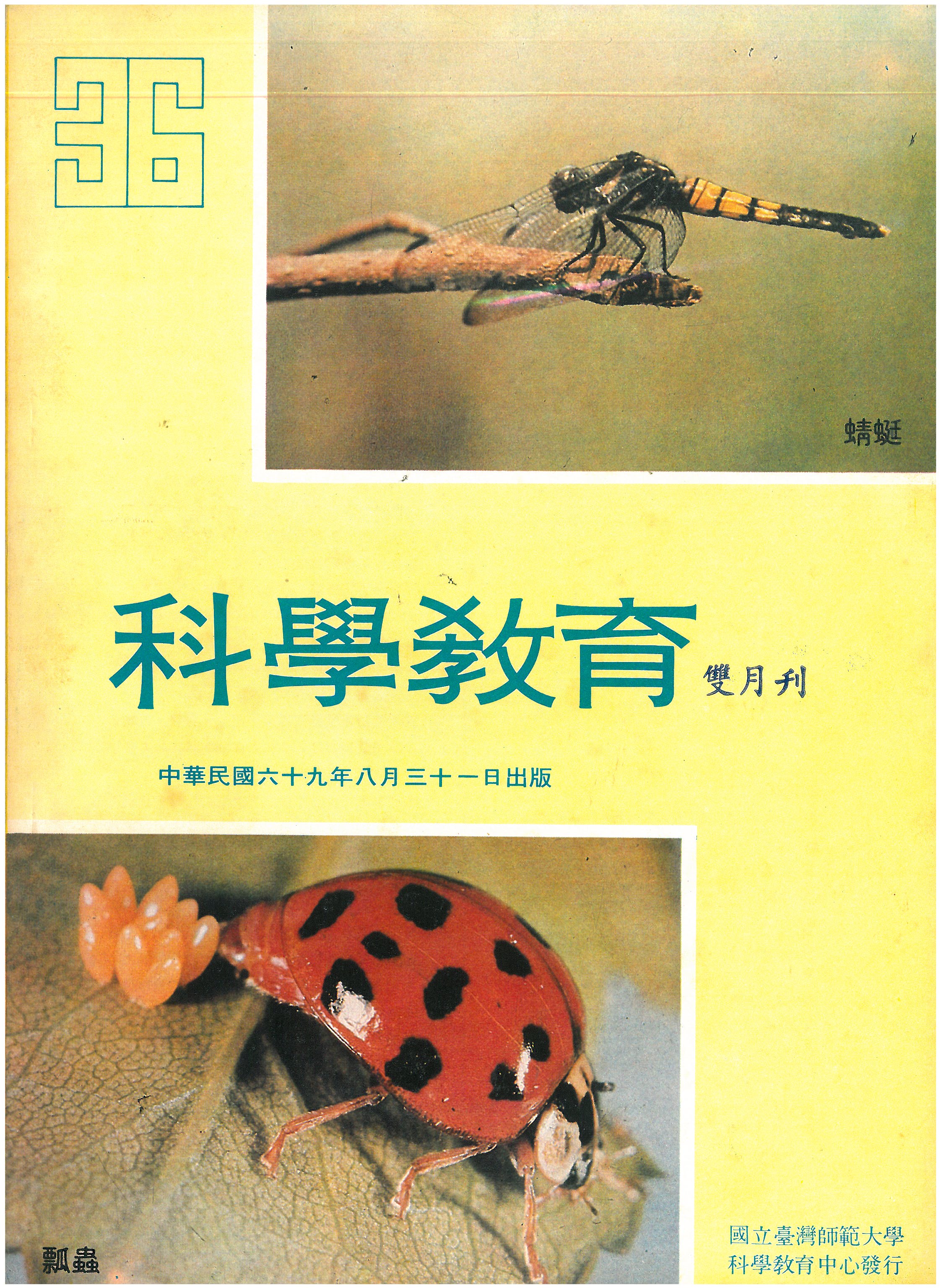 這是一張圖片