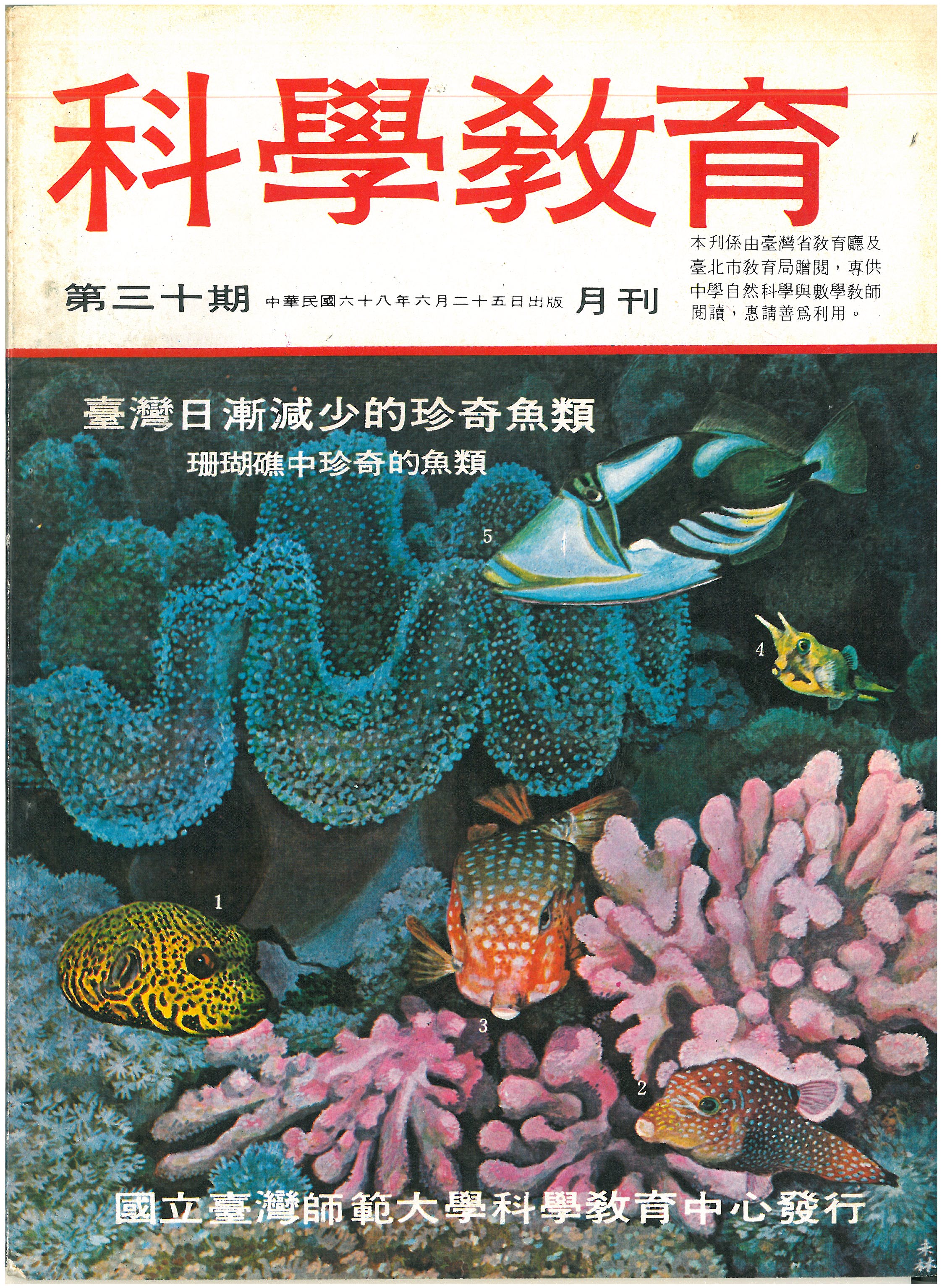 這是一張圖片