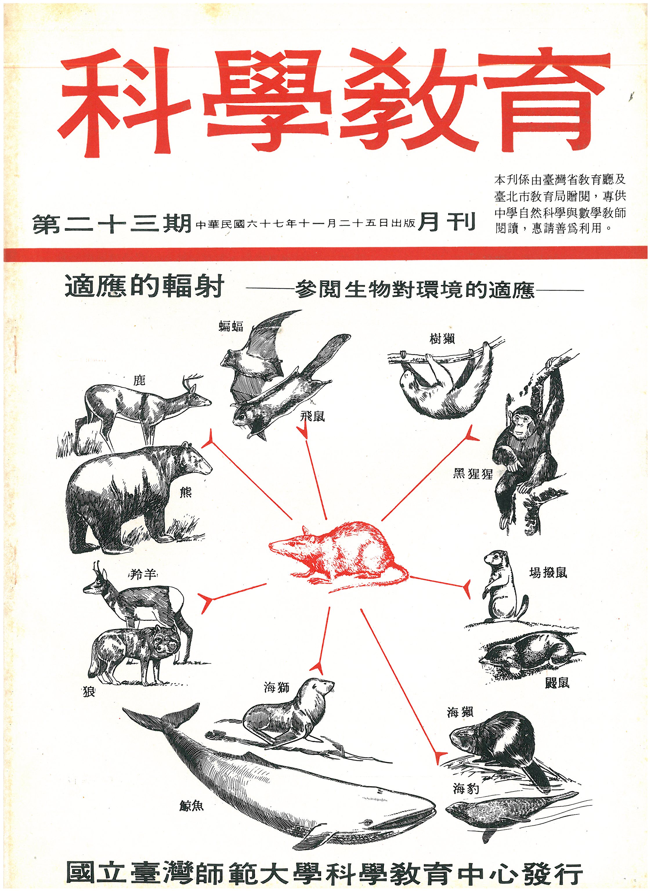 這是一張圖片