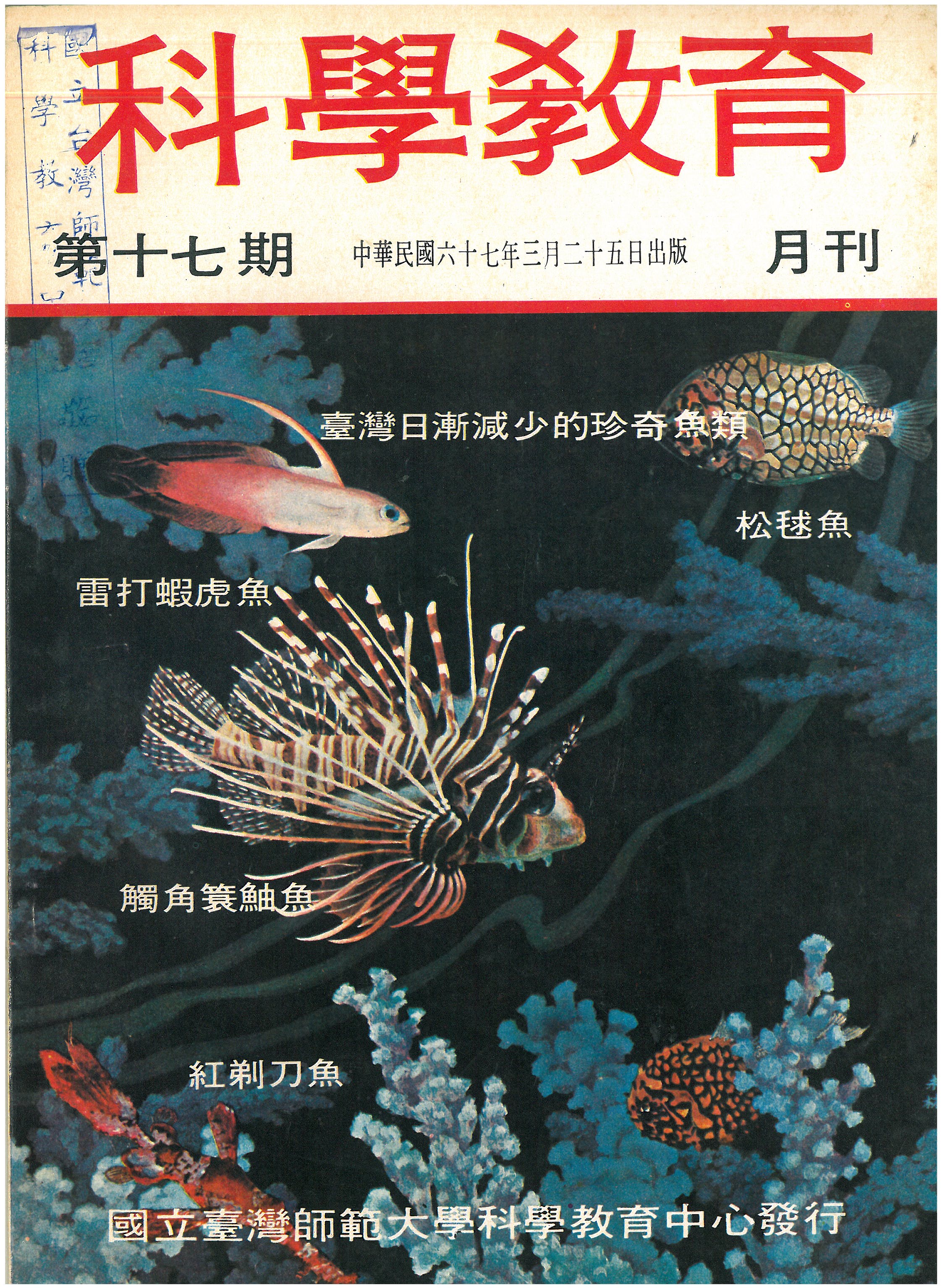 這是一張圖片