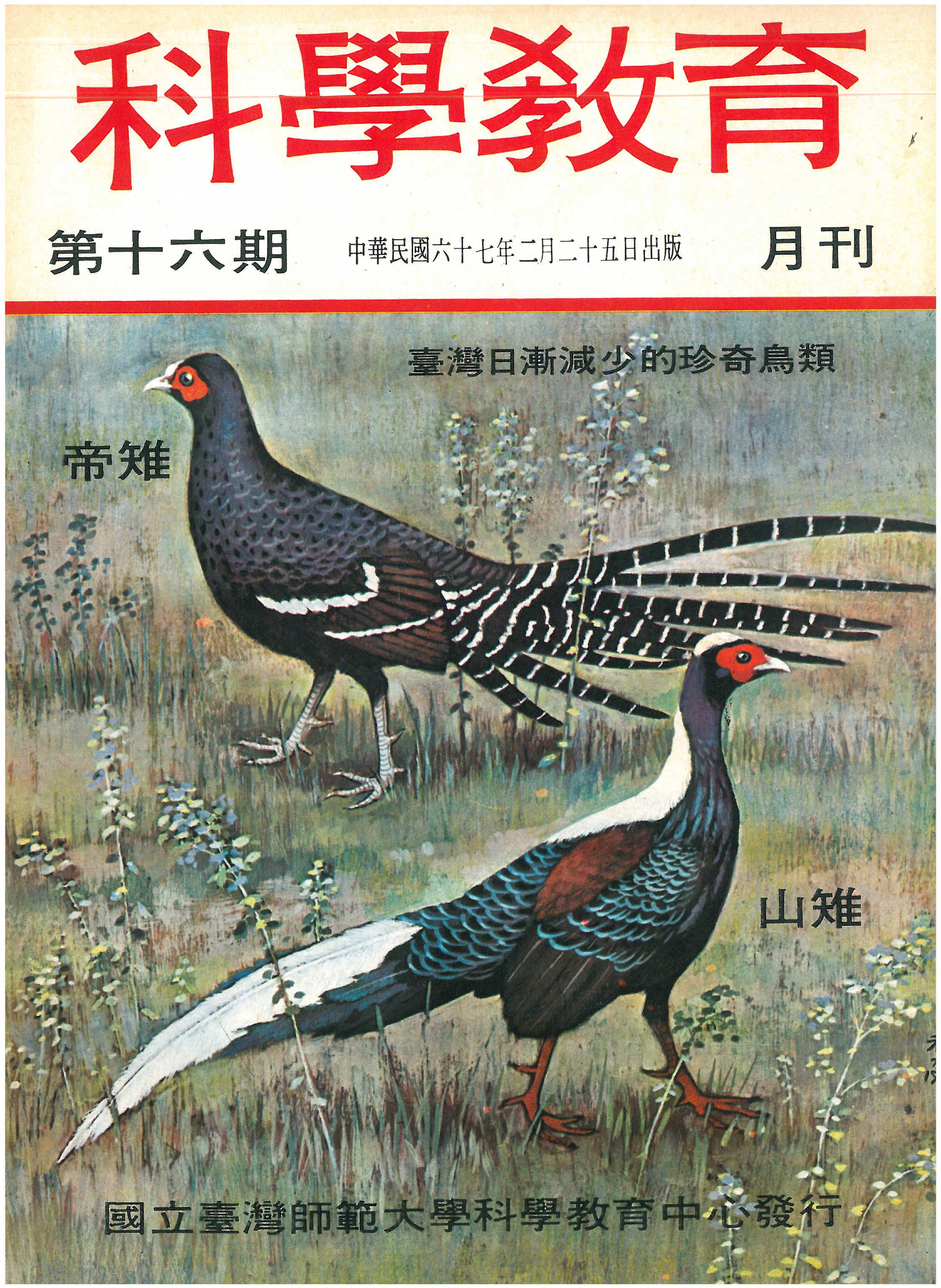 這是一張圖片
