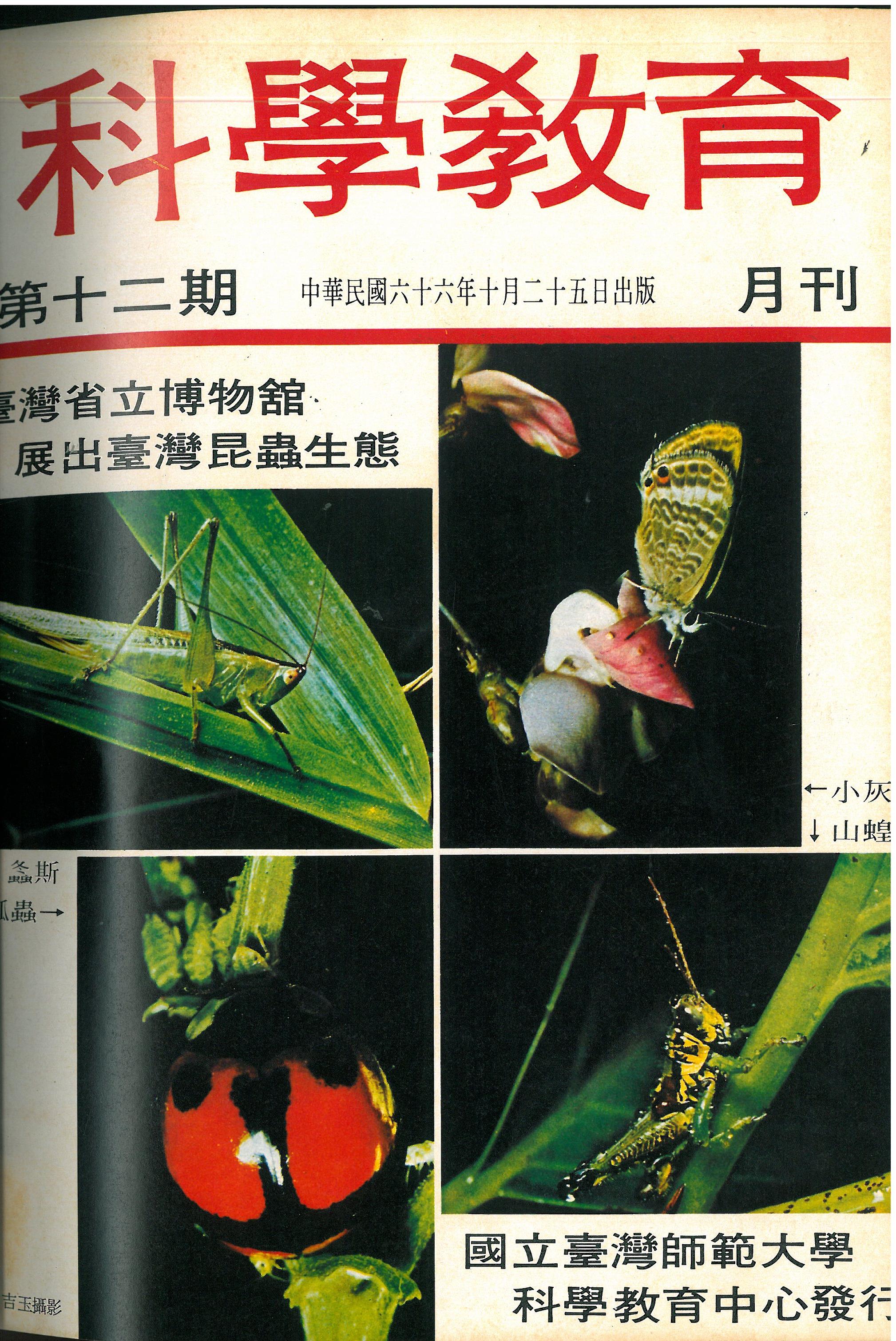 這是一張圖片