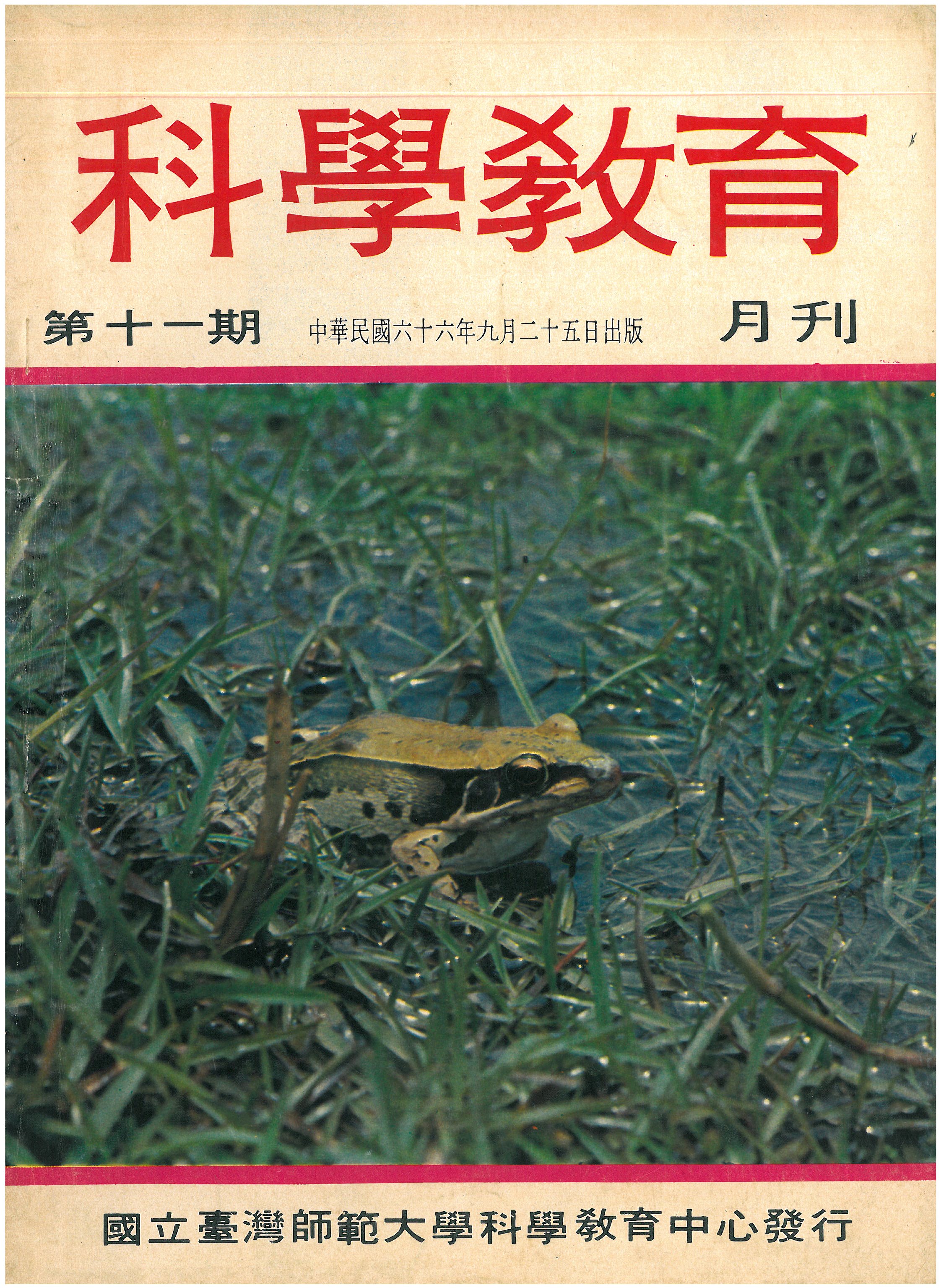 這是一張圖片